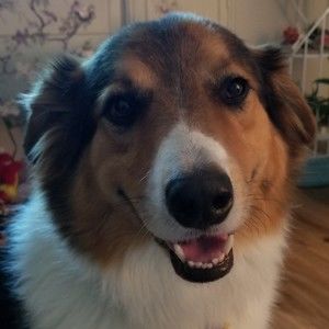 Meet your Posher, Richard